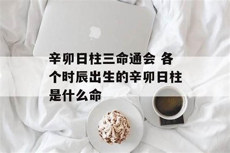 辛卯出生的人是什么命格