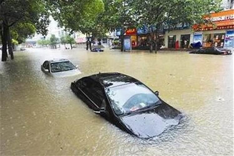 梦见下雨发大水好不好还有一条大蛇