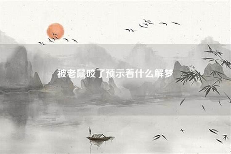 梦到老鼠了有什么兆头