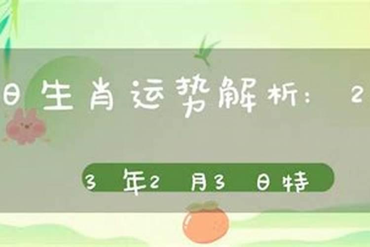 今天特吉的生肖运势