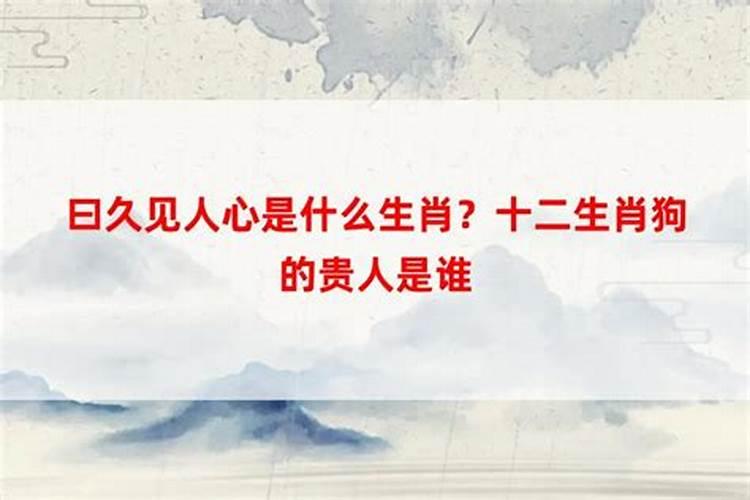 69属鸡人2021年运势运程每月运程