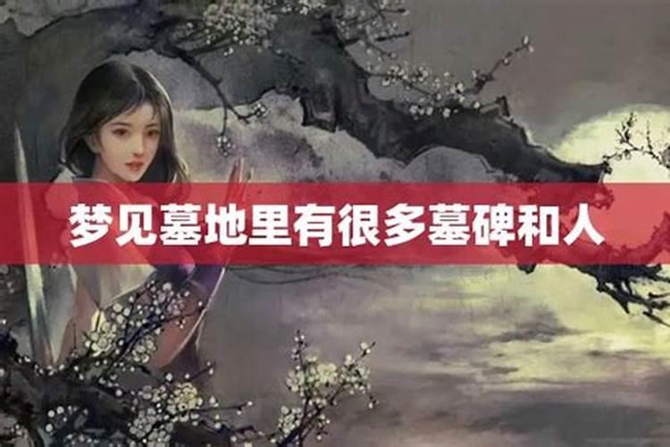 梦见房间里有墓地好不好