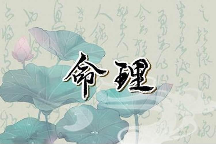 2月2龙抬头出生寓意