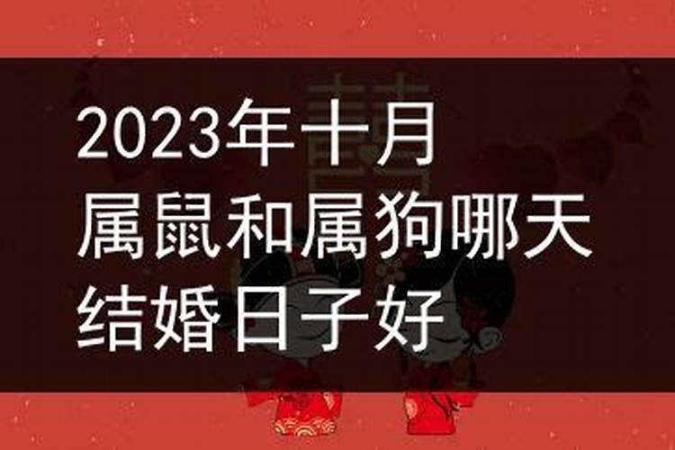 2022年属鼠的结婚什么日子好