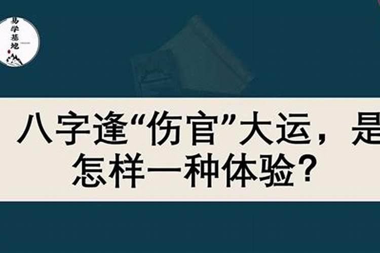 大运逢官会离婚吗