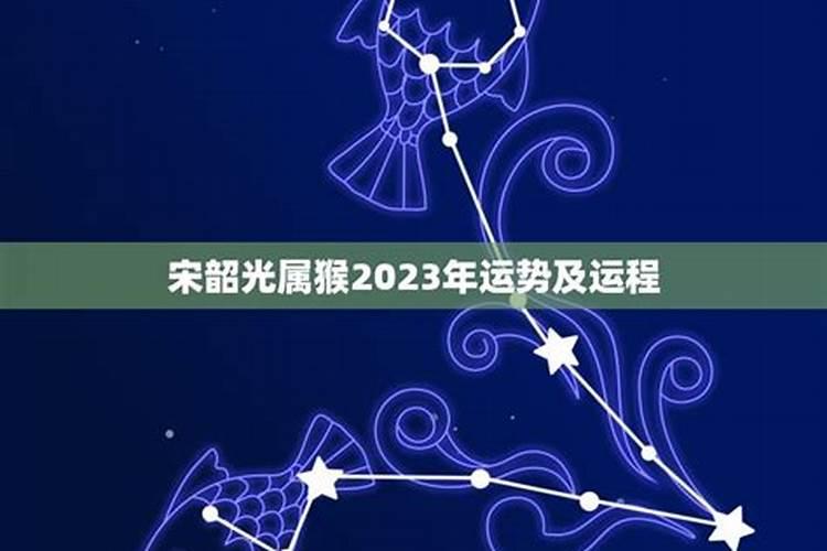 2023年运势及运程宋