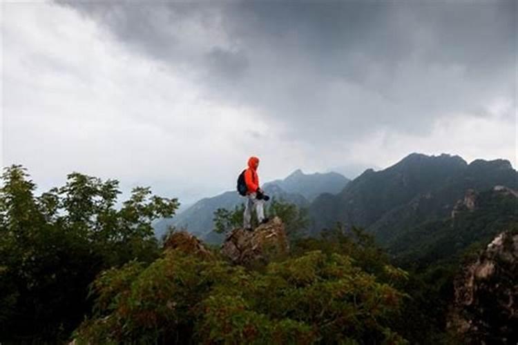 梦见上山野吹