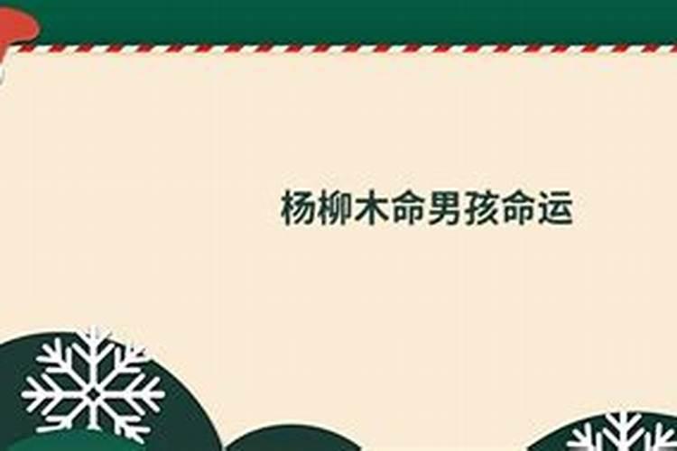 杨柳木命用什么文昌塔