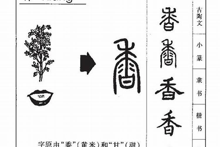 香字五行属什么