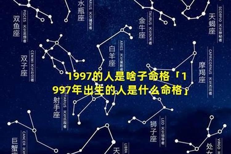 1997年的属牛人是什么命