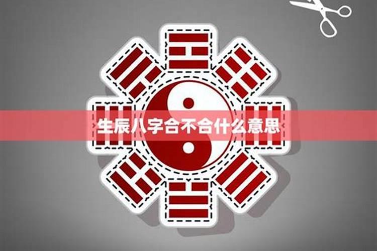 生辰八字合属相不合