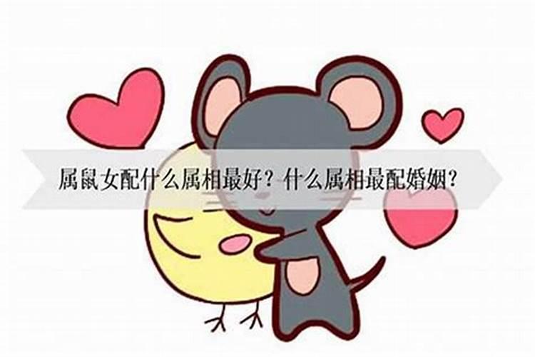 属鼠不能和什么生肖结婚