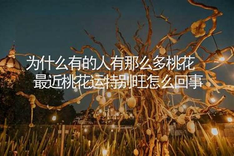 最近桃花运有点旺是什么意思