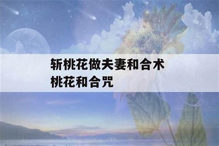 桃花姻缘和合灯有用吗