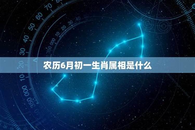 一月初六是什么星座