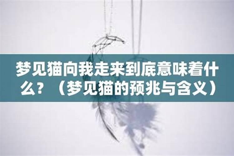 梦见女人笑着向我走来什么意思