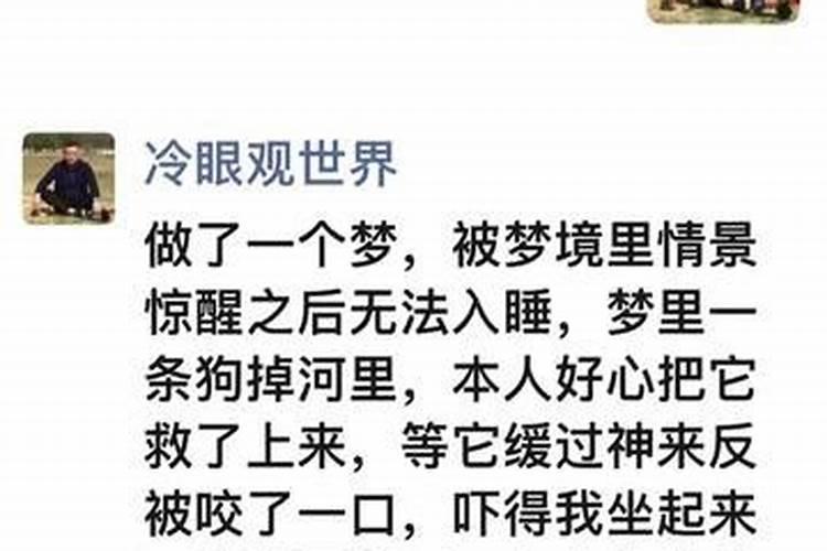 梦见狗掉水里了被救起什么意思周公解梦