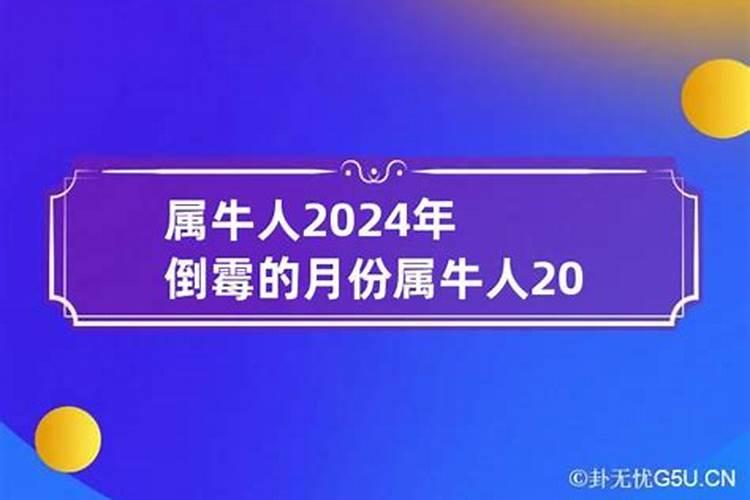 属牛女2024年运势