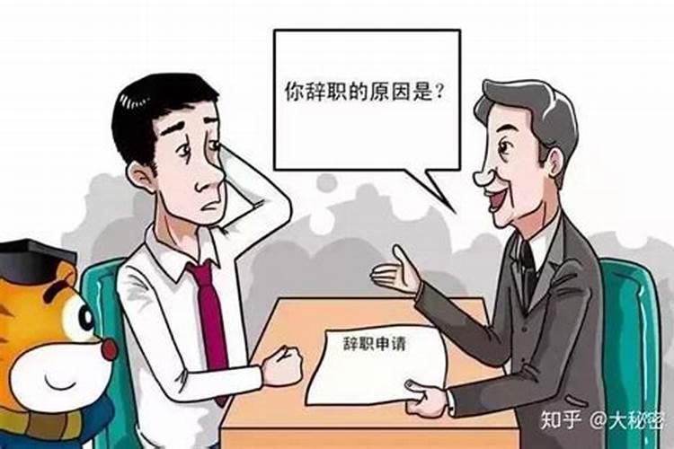 梦见公司老员工离职