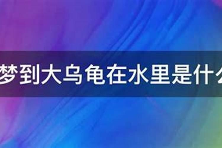 女人梦见乌龟在水里是什么意思