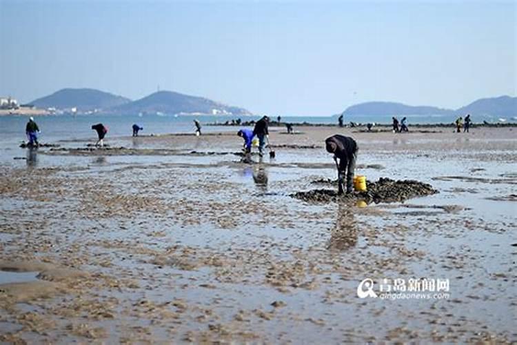 春节赶海哪里