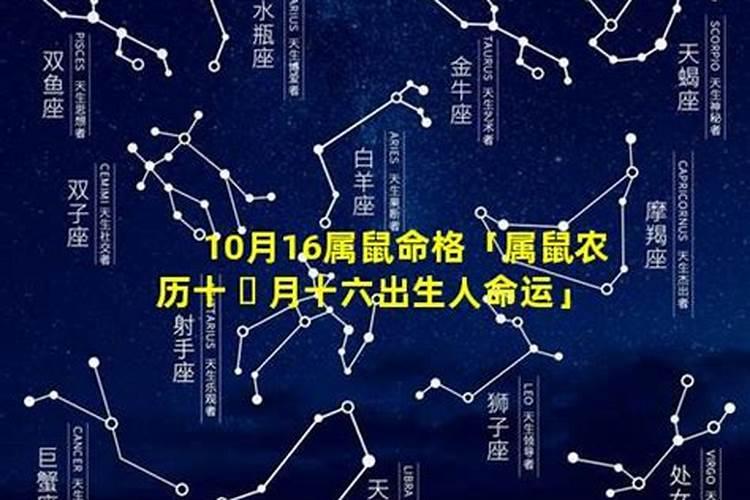 90年10月初九2023年运势