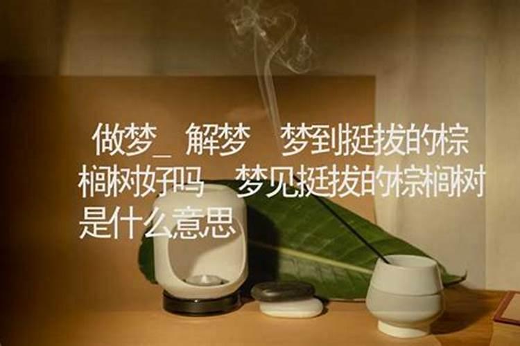 做梦梦见茅厕好吗