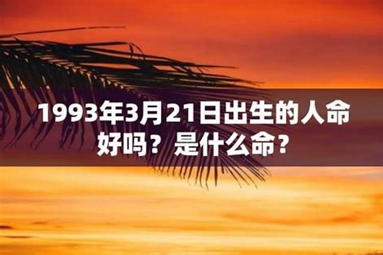 1993年出生的人命运