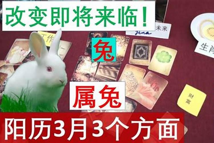 生肖兔今年阳历3月运势