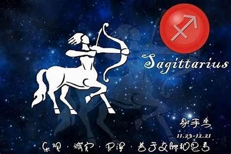 哪个金星星座适合恋爱的