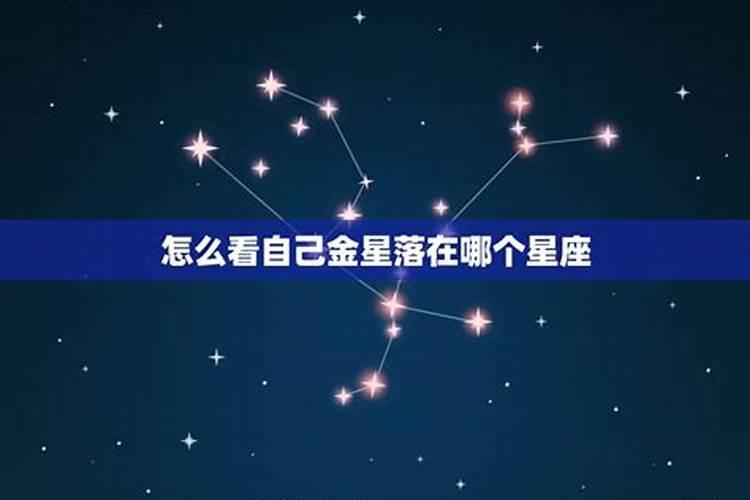 怎么看自己金星落在哪个星座