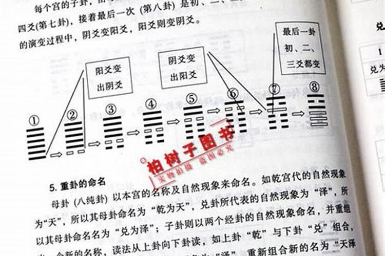 盲派八字父母兄弟姐妹夫妻子女怎么断