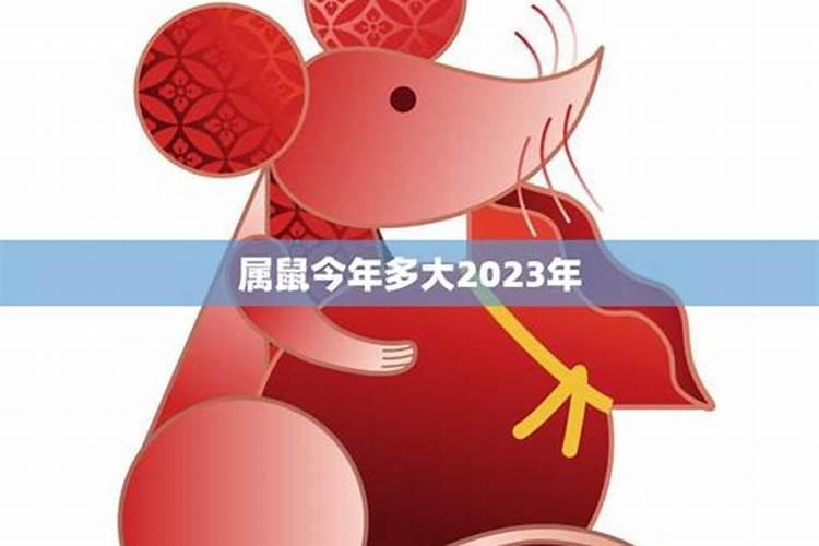 2020年属鼠今年多大年龄