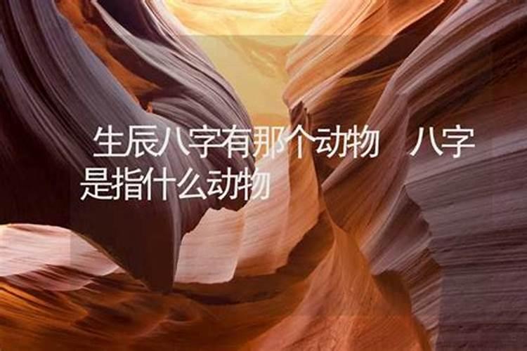 八字不合指的什么