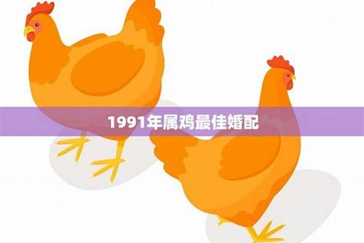 1991年属鸡最佳婚配