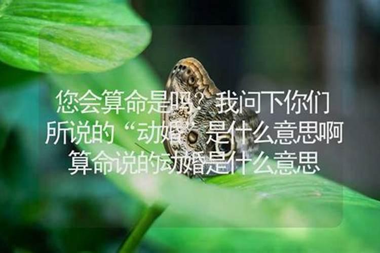 算命的说的双重婚姻是什么意思