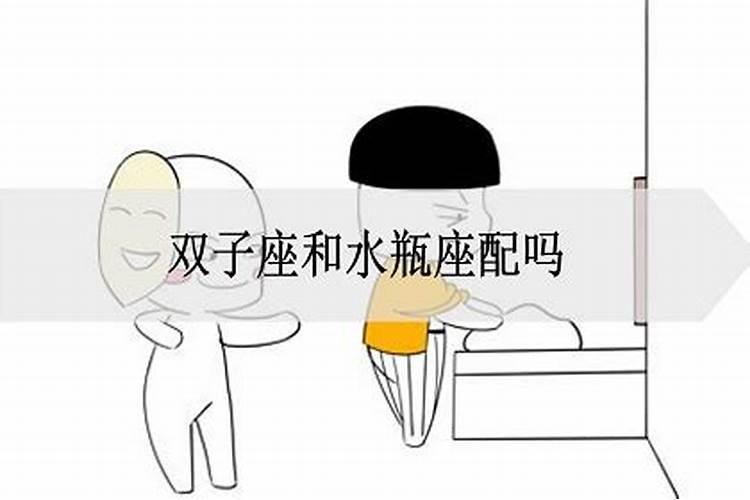 双子座和水瓶座合适吗