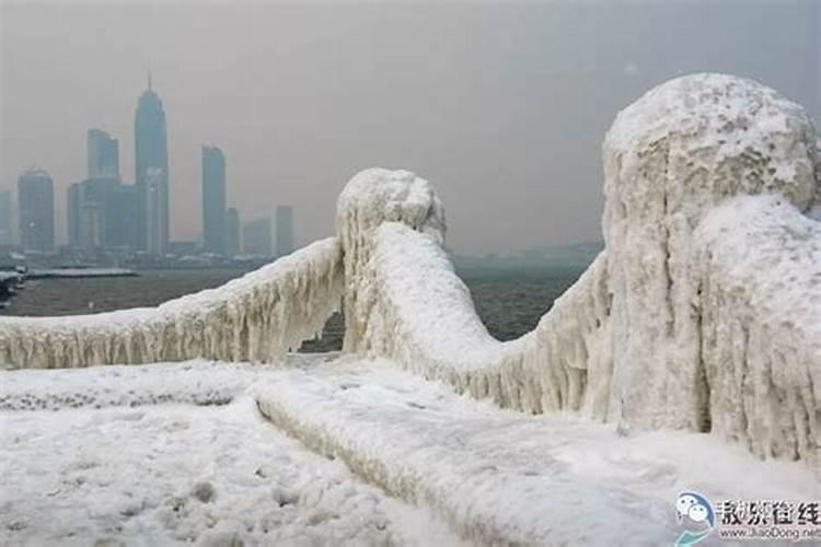 梦见大海边下雪结冰了