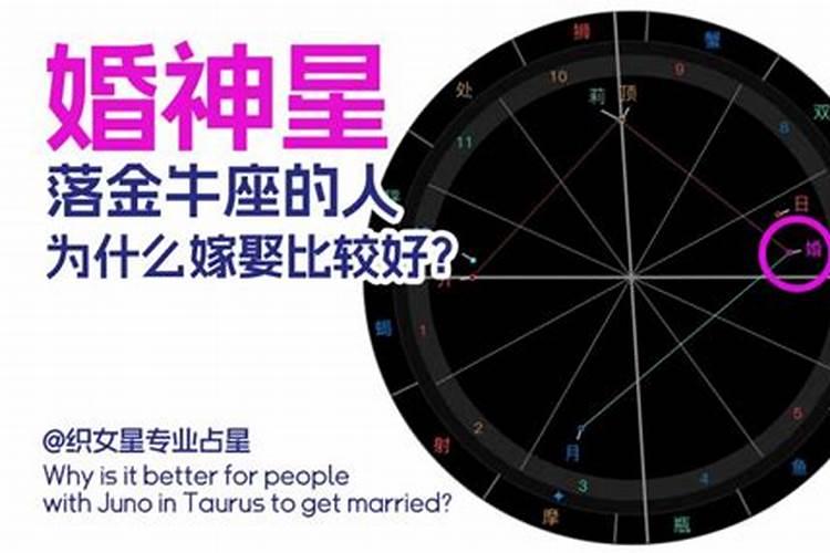 婚神星金牛座的另一半