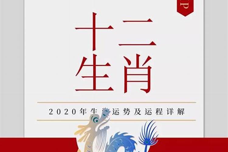 79属龙人2023年运势运程