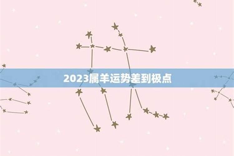 今年属猪女人离婚运势怎么样