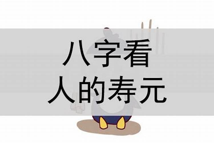 八字看寿元实例