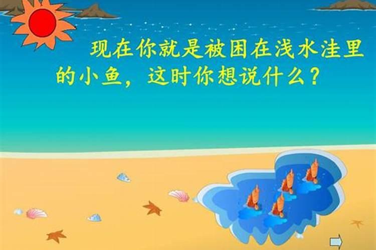 梦见很多鱼被困在浅水