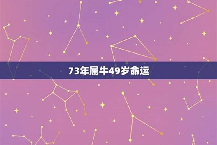 73年属牛人49岁后运程