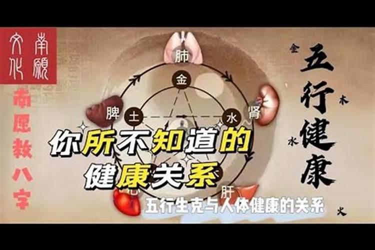 教你学八字保障你健康