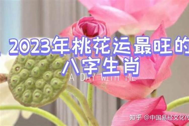 2023年桃花运好的生肖是哪个