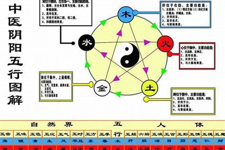 家的五行属性