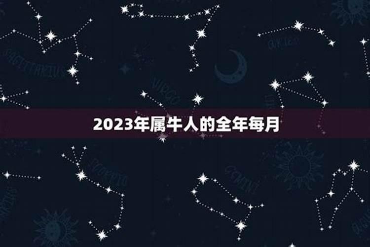 2023年属牛人的全年运势1997年