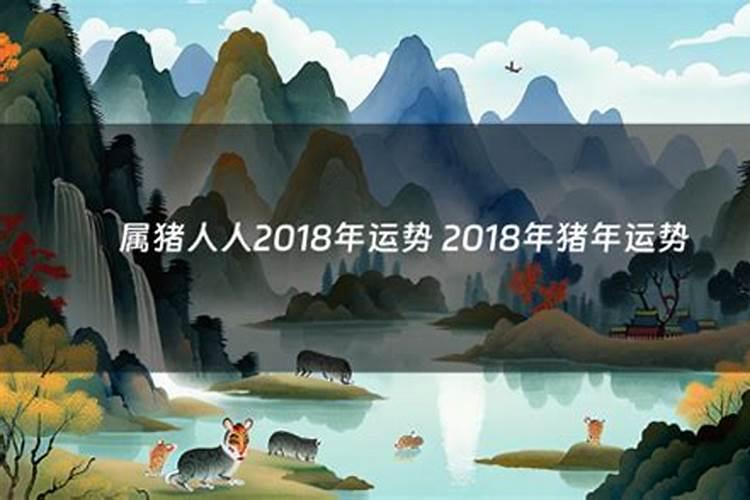 2018年猪运势