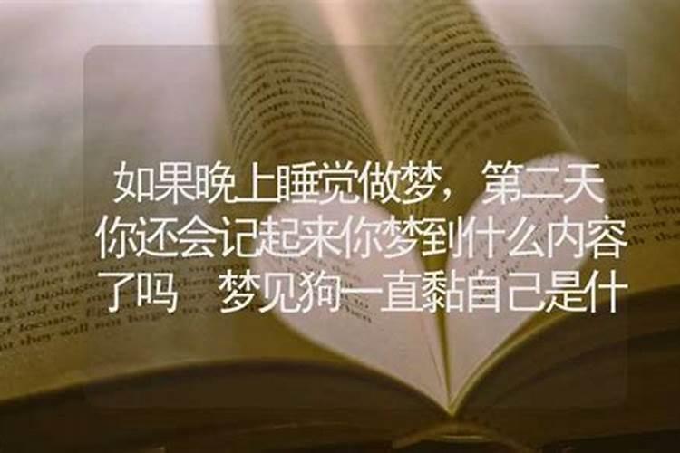 梦见什么第二天会发财